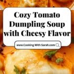 Tomato Dumpling Soup Recipe