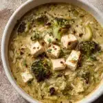 Pesto Broccoli Orzo Soup Recipe