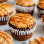 Pumpkin Yogurt Bites Recipe