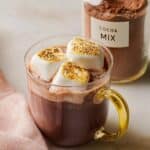 Homemade Dairy Free Hot Chocolate Mix Recipe
